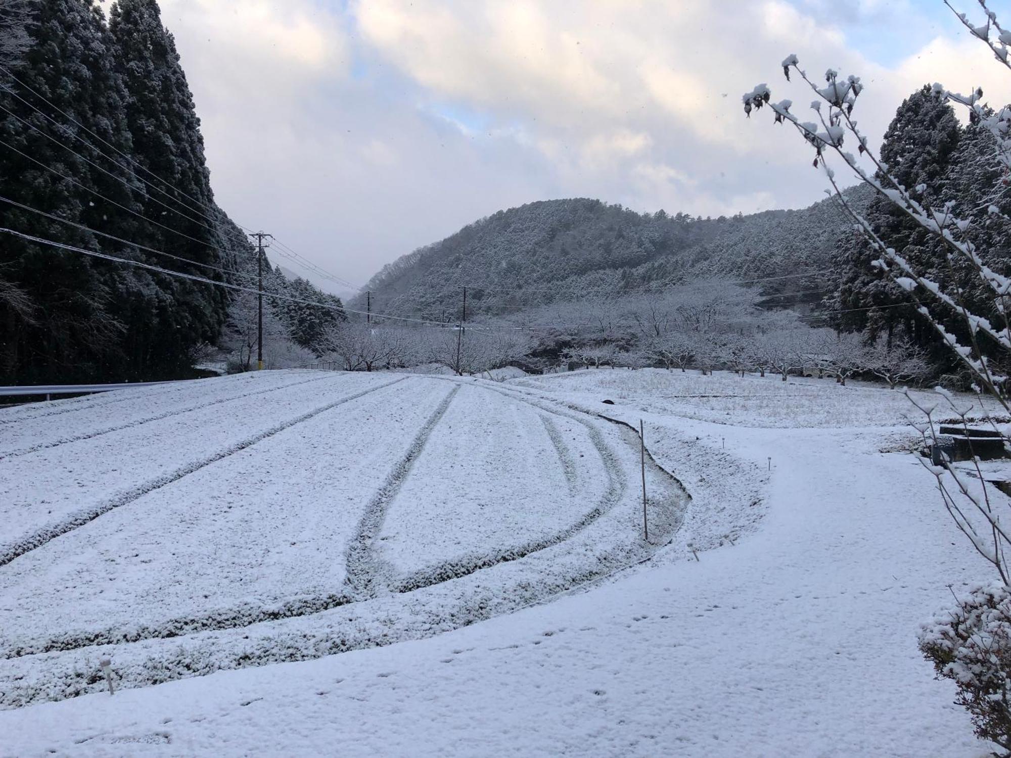 Satoyama Hotel Kanenone Tamba Maibara Zewnętrze zdjęcie