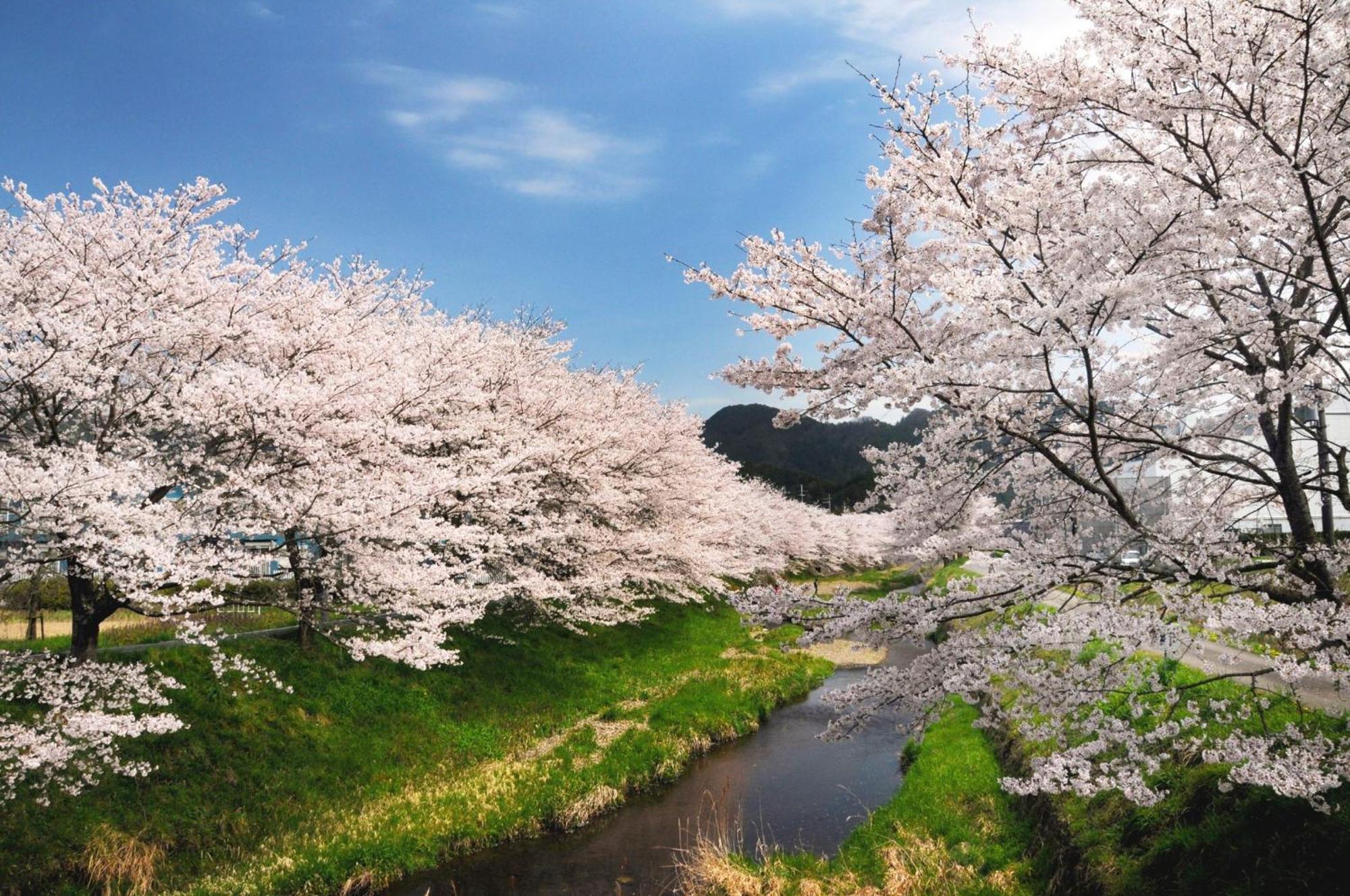 Satoyama Hotel Kanenone Tamba Maibara Zewnętrze zdjęcie