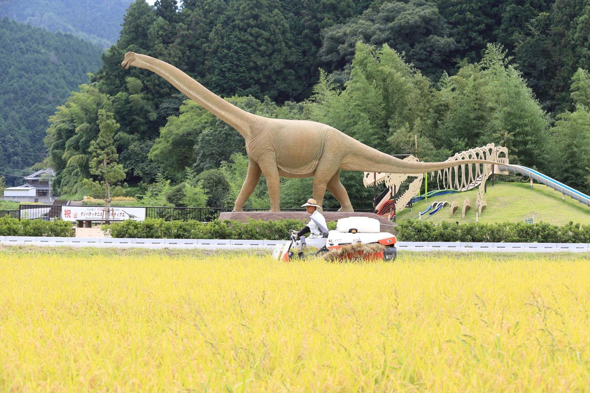 Satoyama Hotel Kanenone Tamba Maibara Zewnętrze zdjęcie