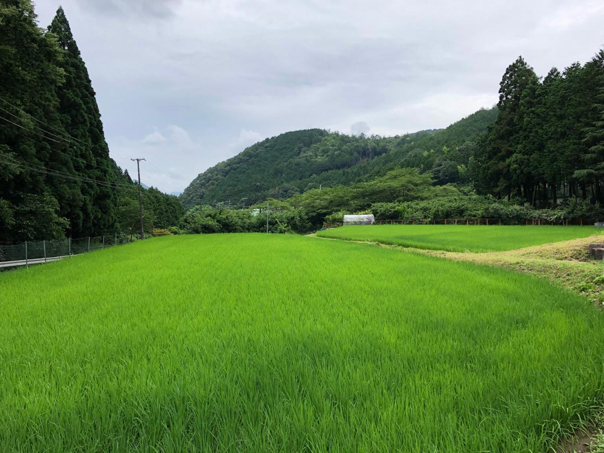 Satoyama Hotel Kanenone Tamba Maibara Zewnętrze zdjęcie