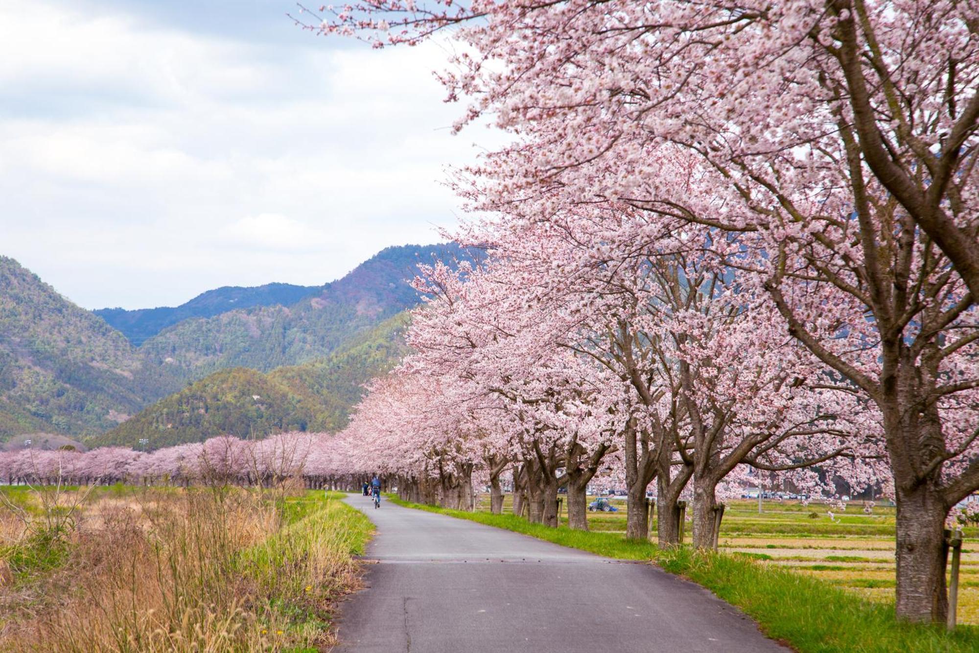 Satoyama Hotel Kanenone Tamba Maibara Zewnętrze zdjęcie