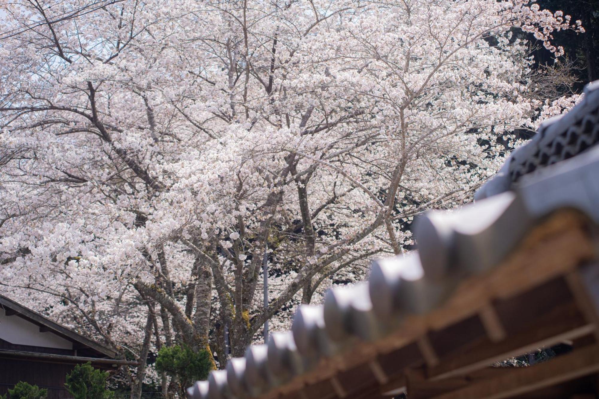 Satoyama Hotel Kanenone Tamba Maibara Zewnętrze zdjęcie